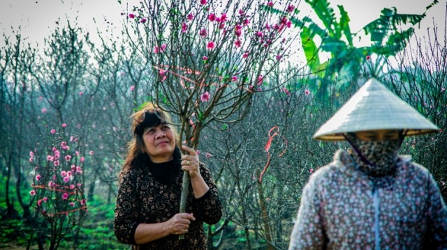 Dự thi ảnh: Xuân về muôn nơi Dự thi ảnh: Xuân về muôn nơi
