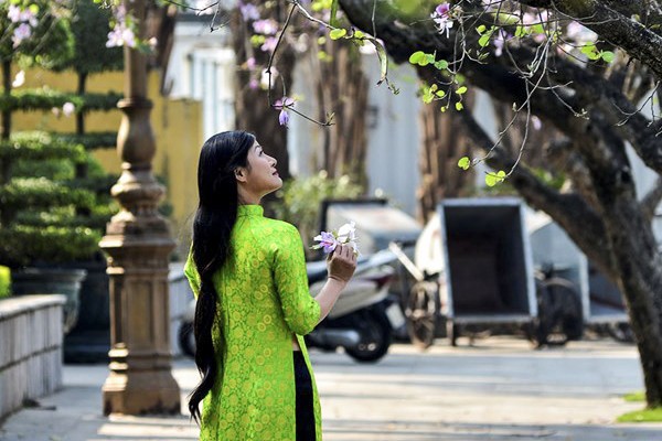 Hoa ban Tây Bắc đẹp nao lòng giữa Thủ đô Trên nhiều tuyến đường ở thủ đô Hà Nội, những nhành hoa ban của núi rừng Tây Bắc đang bừng nở khoe sắc.