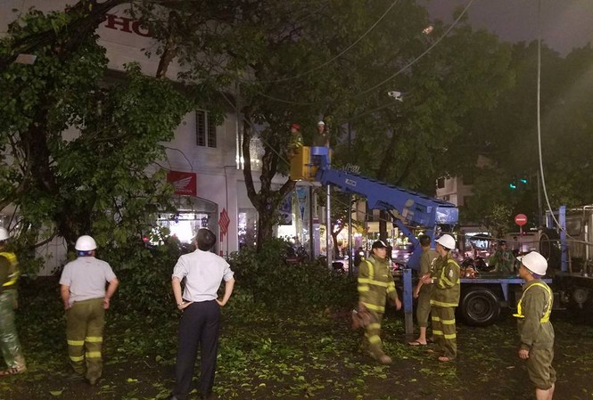 Hà Nội: Cành cây cổ thụ gãy làm 2 người bị thương trong cơn mưa Cây cổ thụ được di chuyển sau khi đổ ra đường.