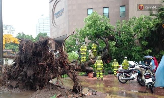 Hà Nội khẩn trương ứng phó với bão số 7 Ảnh minh họa.