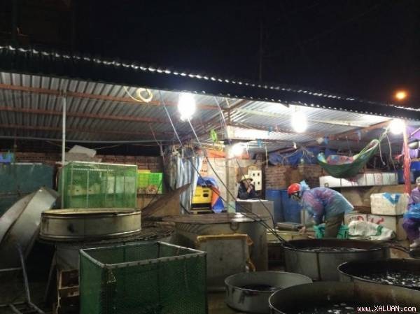 Chợ bí ẩn nhất Hà Nội: Bán gà không kêu, mổ cá không tanh Khu chợ tự phát nổi tiếng sạch sẽ vì bán cá không có mùi tanh