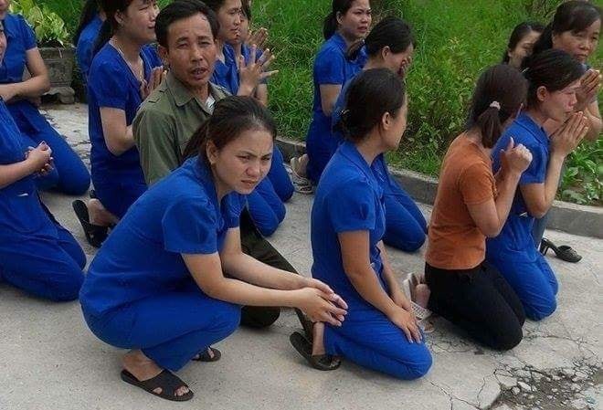 Vụ cô giáo quỳ gối xin không đóng cơ sở: Chính quyền nói dàn dựng Vụ cô giáo quỳ gối xin không đóng cơ sở: Chính quyền nói dàn dựng