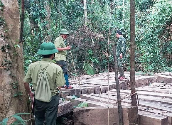 Rừng ở Vườn quốc gia Pù Mát bị 'chảy máu' Rừng ở Vườn quốc gia Pù Mát bị 'chảy máu'