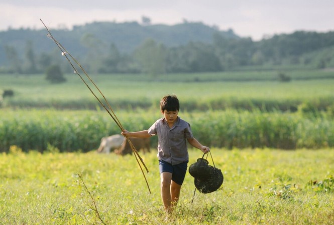 18 phim điện ảnh tranh giải Cánh diều 2015 "Tôi thấy hoa vàng trên cỏ xanh" - ứng viên nặng ký