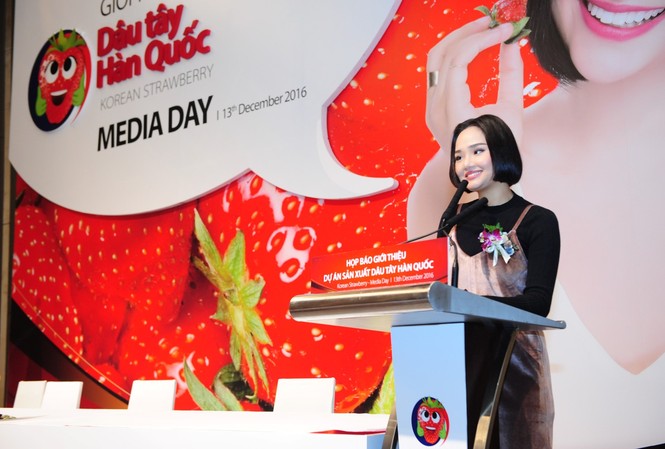Dân Hà Thành đón chờ dâu sạch Hàn Quốc lên kệ Ca sỹ, diễn viên Miu Lê tham gia nhiều hoạt động quảng bá dâu tây Hàn Quốc, trong đó có clip quảng bá trên truyền hình rất vui nhộn
