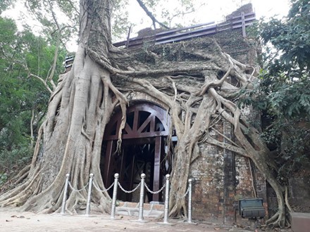 Yêu cầu làm rõ việc bê tông hóa Thành cổ Sơn Tây Thành cổ Sơn Tây được "nhốt" trong khung sắt để tránh bị đổ trong lúc chờ dự án tu bổ. Ảnh: Lao Động