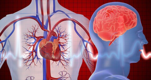 Cách nhận biết đau tim và đột quỵ Ảnh minh họa: New Health Advisor