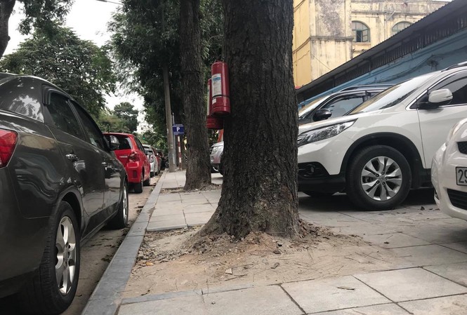 Bạn đọc phản đối lát vỉa hè theo phong trào Bạn đọc phản đối lát vỉa hè theo phong trào