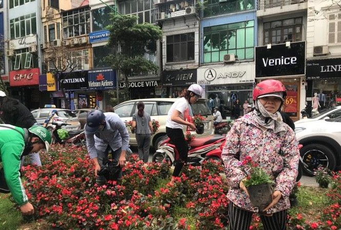 Xấu xí hình ảnh người dân 'hôi' hoa trang trí trên đường Kim Mã Xấu xí hình ảnh người dân 'hôi' hoa trang trí trên đường Kim Mã
