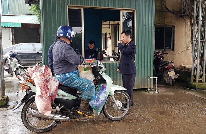 Lợn 'khỏa thân' diễu phố: Nguy cơ khiến dịch bệnh lan nhanh? Lợn "cởi truồng" tại chốt kiểm dịch liên ngành