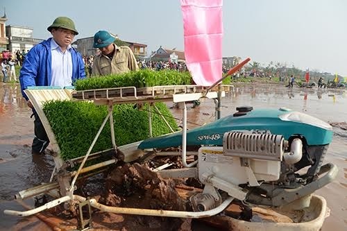 Bí thư Thành ủy Hà Nội Hoàng Trung Hải đi cấy cùng nông dân Bí thư Thành ủy Hà Nội Hoàng Trung Hải xuống đồng cấy lúa.