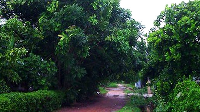 Hoàn cảnh oan nghiệt của người phụ nữ ôm con tự thiêu Lô cao su chị Hương tự thiêu cùng con gái