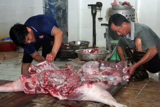 Lò giết mổ thịt nhỏ lẻ mất vệ sinh ở Hà Nội: Việc xóa bỏ còn gian nan Ảnh minh họa: Đình Huệ/TTXVN