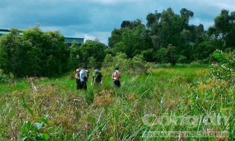 Đi câu cá phát hiện xác chết không thể nhận dạng Cơ quan chức năng đang khám nghiệm hiện trường và người dân hiếu kỳ theo dõi vụ việc