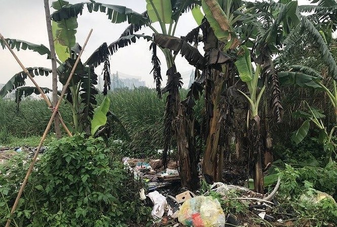 Kẻ giết nam sinh, phi tang xác tại bãi rác Nam Từ Liêm khai gì? Hiện trường vụ án mạng