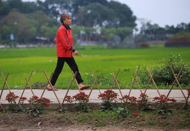 Kênh ngập rác thải biến thành đường hoa ở Hà Nội Kênh ngập rác thải biến thành đường hoa ở Hà Nội