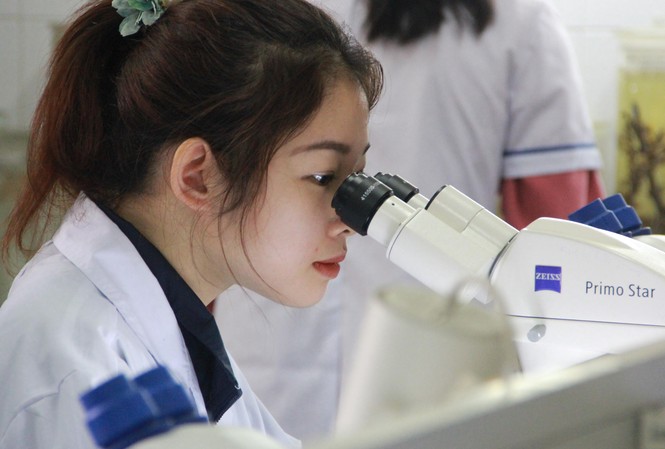 Công bố 95 sinh viên đầu tiên trúng tuyển vào ĐH Khoa học Tự nhiên Môi trường học tập chuyên nghiệp của sv trường ĐHKHTN