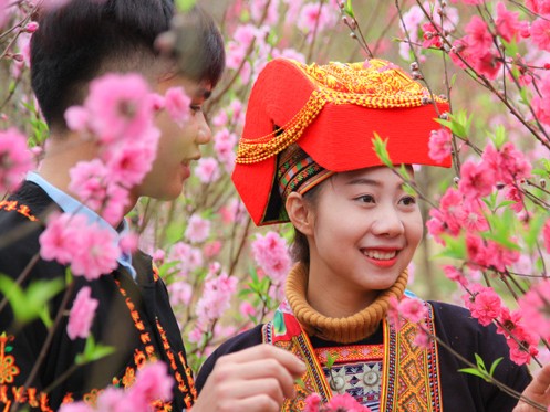 Sẵn sàng cho Lễ hội hoa Đào xứ Lạng Xuân Kỷ Hợi 2019 Sẵn sàng cho Lễ hội hoa Đào xứ Lạng Xuân Kỷ Hợi 2019