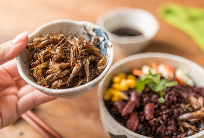 Được cha cho ăn đặc sản 'độc lạ', bé trai suýt mất mạng Trẻ suýt chết khi cha mẹ cho ăn côn trùng