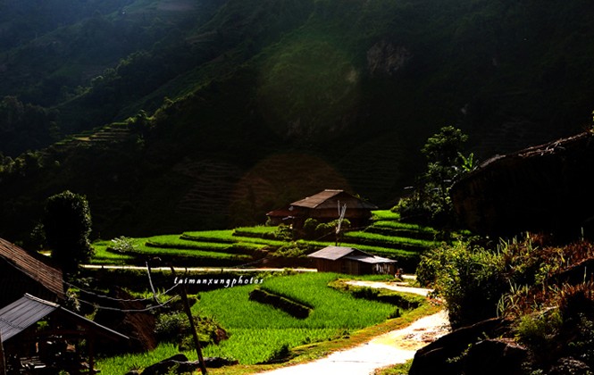 Cuốn hút ruộng bậc thang Hoàng Su Phì Cuốn hút ruộng bậc thang Hoàng Su Phì