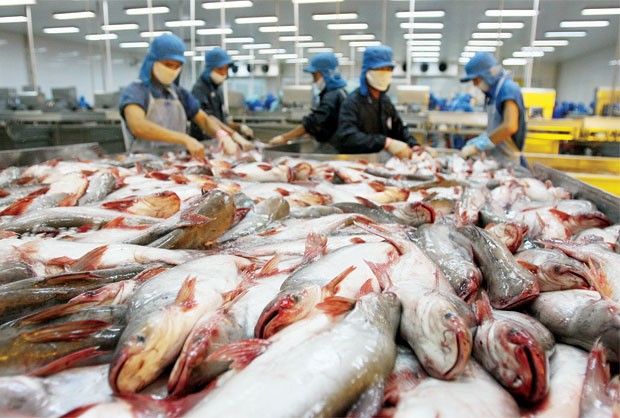 Mỹ vẫn áp thuế bất lợi cá tra Việt Nam Mỹ vẫn áp thuế bất lợi cá tra Việt Nam