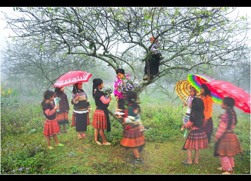 Lên Tây Bắc Ảnh minh họa