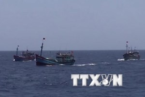 Tàu cá Trung Quốc đâm chìm tàu cá của ngư dân Đà Nẵng Tàu cá của ngư dân Việt Nam. Ảnh minh họa: Công Định - Hữu Trung/TTXVN