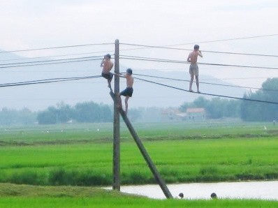 Trèo cột điện bắt chim, bé trai bị giật chết Ảnh minh họa