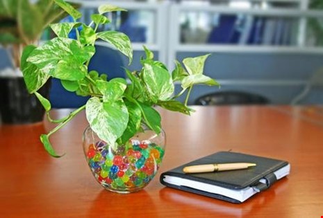 Những thay đổi nhỏ để hút tài lộc vào nhà trong năm mới Những thay đổi nhỏ để hút tài lộc vào nhà trong năm mới