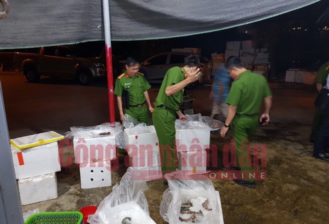 Bơm 'chất lạ' vào tôm chết rồi bán cho nhà hàng, tiệc cưới ở Hà Nội Cảnh sát môi trường kiểm tra số tôm chết bơm tạp chất. Ảnh: CAND
