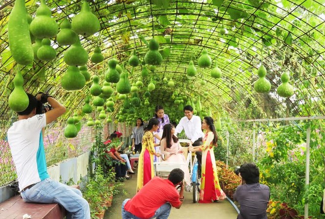 Ấn tượng vườn hoa Mãn Đình Hồng thu hút giới trẻ Đường vào vườn hoa gây ấn tượng bởi giàn bầu hồ lô