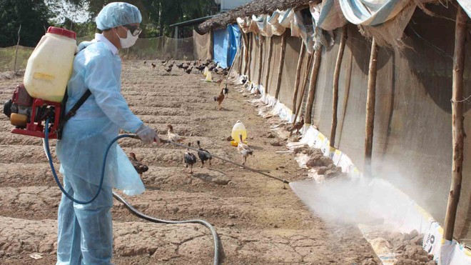 4 tình huống ứng phó khi có cúm A/H7N9 ở Việt Nam Bộ NN&PTNT đã sẵn sàng 4 tình huống ứng phó nguy cơ xuất hiện virus cúm A/H7N9 tại Việt Nam
