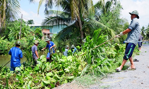 Tiền Giang chi tiền tỷ trồng lục bình ven sông Người dân tham gia chiến dịch diệt lục bình hai tháng trước. Ảnh: Hoàng Nam.