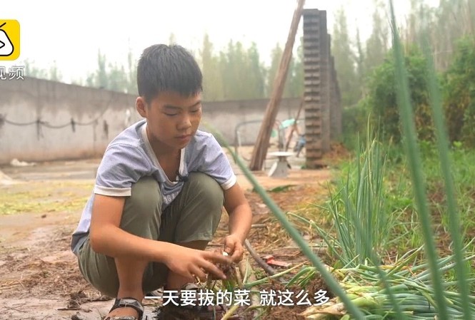 Cậu bé dành cả tuổi thơ bán hành, hiến tủy cứu em trai mắc bệnh thiếu máu Cậu bé dành cả tuổi thơ bán hành, hiến tủy cứu em trai mắc bệnh thiếu máu