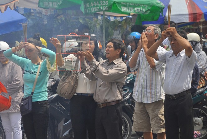 Hàng ngàn người đi lễ Vu lan báo hiếu Người dân thả chim phóng sanh trong ngày lễ Vu Lan báo hiếu.