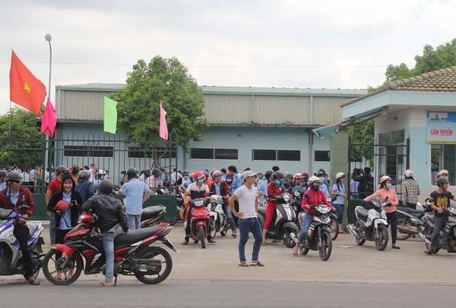 Quảng Nam: Gần 1.000 công nhân đình công vì chậm trả lương Bức xúc việc công ty chậm trả lương, hàng nghìn công nhân may đình công đòi quyền lợi.