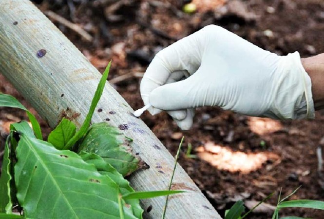 Giám đốc Công an Lâm Đồng: Sớm thực nghiệm hiện trường vụ 3 bà cháu bị sát hại Thu thập chứng cứ vụ án mạng