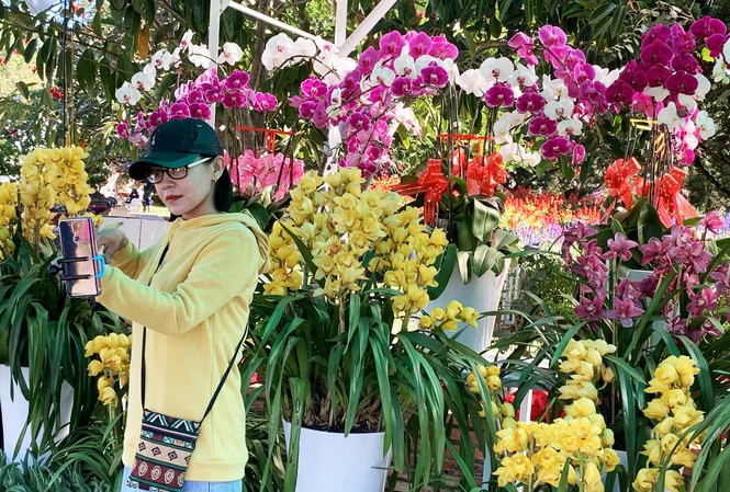 Muôn hoa khoe sắc rực rỡ tại Hội hoa xuân Đà Lạt Giới trẻ hào hứng check in tại hội hoa xuân