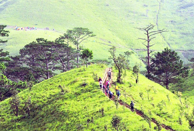 Ngừng trekking cung đường đẹp nhất Việt Nam Thiên nhiên tuyệt đẹp tuyến trekking Tà Năng-Phan Dũng- ảnh:Ngô Anh Tuấn