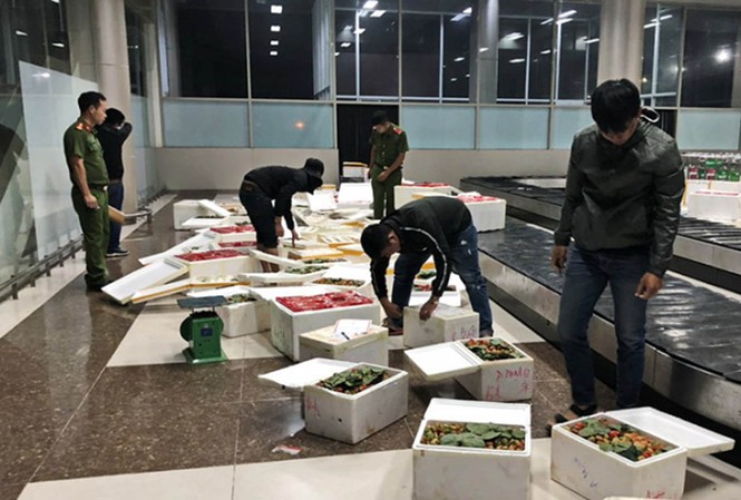 Lâm Đồng tiêu hủy hơn 8,7 tấn dâu tây, nghi nhập từ Trung Quốc Hàng trăm thùng dâu tây "bay" từ Hà Nội đến Sân bay Liên Khương