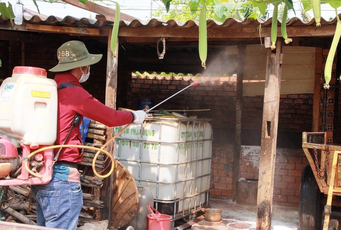 Đắk Lắk: Tạm ngưng vận chuyển mua bán lợn nơi có dịch lở mồm long móng Cán bộ địa phương đi chống dịch trên đàn lợn