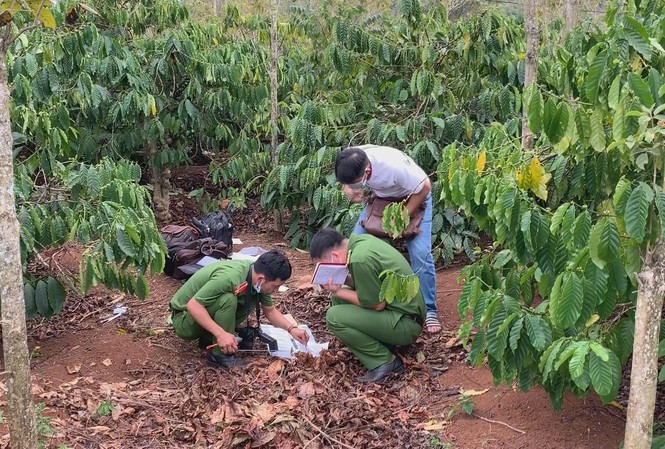 Lộ danh tính nghi can sát hại, phi tang thi thể ngươi đàn bà trong rẫy cà phê Công an khám nghiệm hiện trường