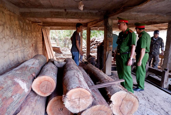 Đắk Lắk phát hiện kho gỗ lậu Số gỗ không có hóa đơn chứng từ bị công an phát hiện