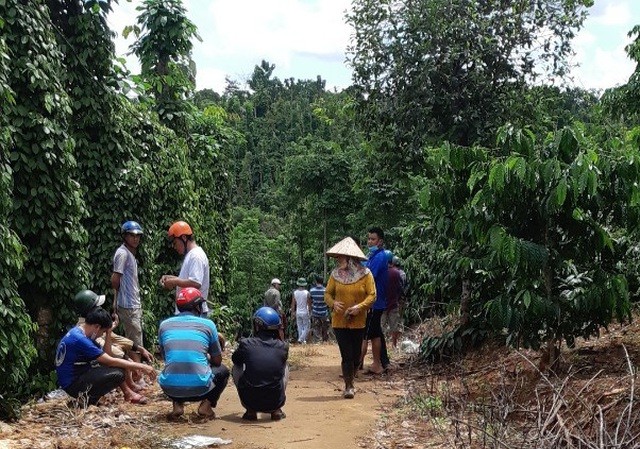 Phát hiện thi thể 3 bố con trong chòi rẫy Hiện trường phát hiện thi thể 3 bố con anh K trong chòi rẫy