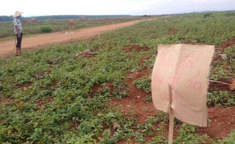 Họp báo 'nóng' vụ chiếm 209,8 ha đất trồng cao su Người dân xã Ia Chim và Công ty TNHH MTV cao su Kon Tum tranh chấp 209,8 ha đất. Ảnh Hoàng Thanh