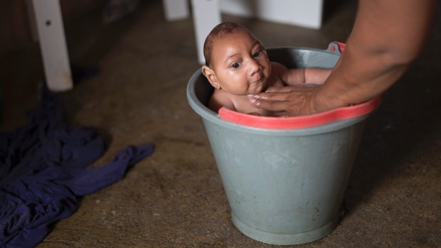 Phòng chống dịch Zika: WHO không khuyến cáo hạn chế du lịch và thương mại Ảnh minh họa