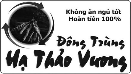 Mệt mỏi, mất ngủ, chán ăn và cam kết… là tiên? Mệt mỏi, mất ngủ, chán ăn và cam kết… là tiên?
