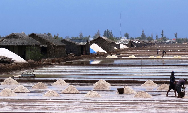 Muối Bạc Liêu tràn đồng, kho dự trữ hoang phế Muối mới chen muối cũ.