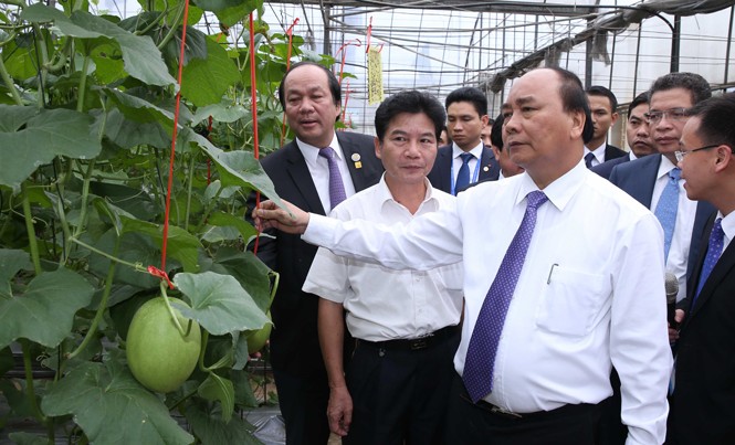 Thủ tướng: Giữ vững hòa bình để phát triển kinh tế Chiều 11/9, Thủ tướng Nguyễn Xuân Phúc đến thăm Vườn kiểu mẫu nông nghiệp hiện đại Bát Quế Điền Viên tại thành phố Nam Ninh, tỉnh Quảng Tây. Ảnh: TTXVN.