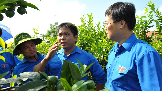 Triệu phú miệt vườn Anh Khổng Văn Nam (giữa) giới thiệu với Bí thư thứ nhất T.Ư Đoàn Lê Quốc Phong về giống chanh bốn mùa cho nhiều nước, năng suất cao. Ảnh: Xuân Tùng.